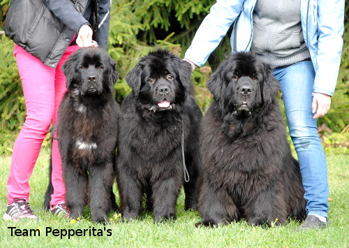 3 sukupolvea